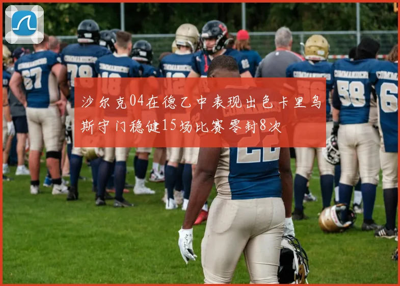 沙尔克04在德乙中表现出色卡里乌斯守门稳健15场比赛零封8次
