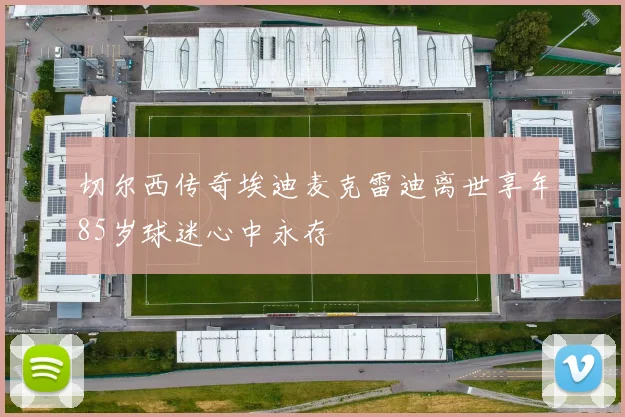 切尔西传奇埃迪麦克雷迪离世享年85岁球迷心中永存