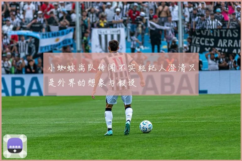 小蜘蛛离队传闻不实经纪人澄清只是外界的想象与假设