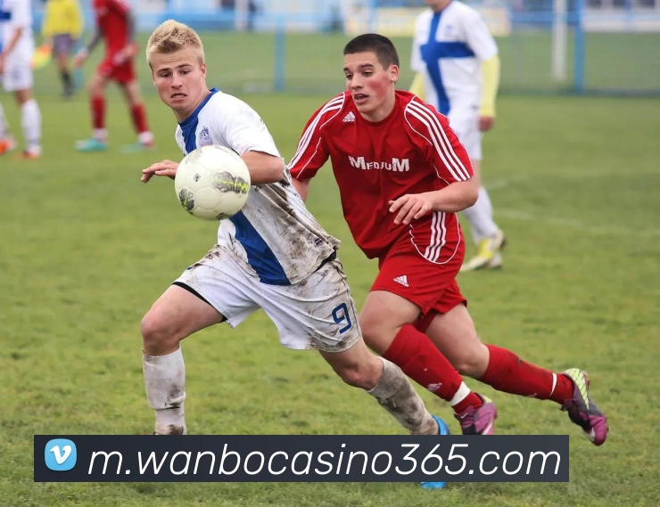 万博真人娱乐平台生态图