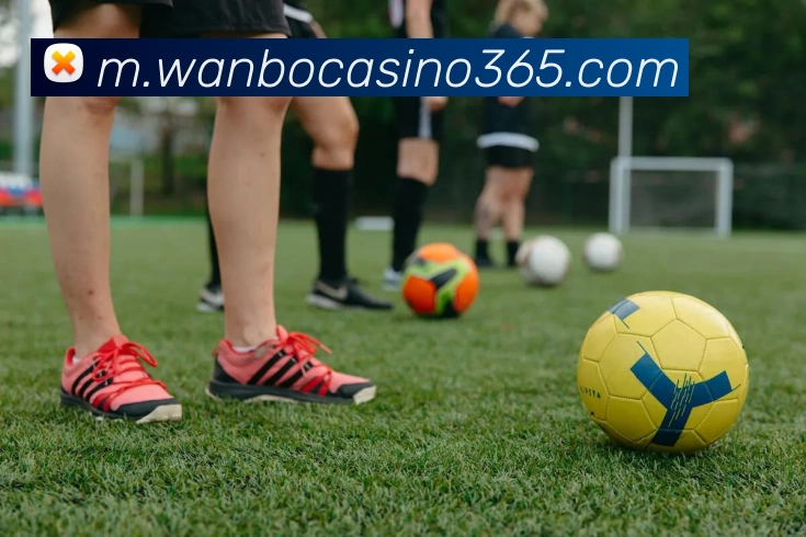 万博真人娱乐全站App